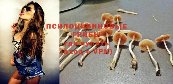 a pvp Белоозёрский