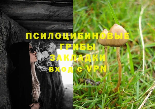 таблы Богородицк