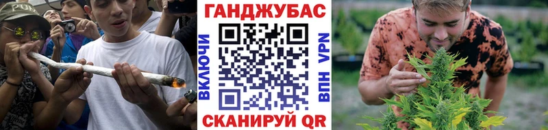 Канабис конопля Берёзовский